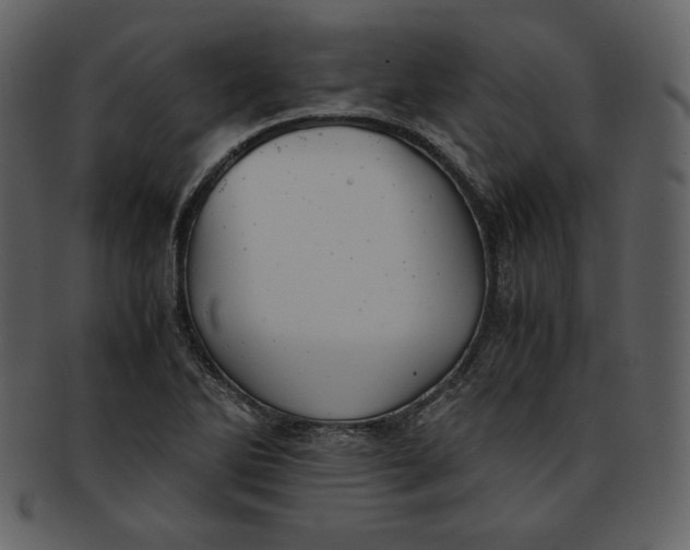 X0000093231270200710171411