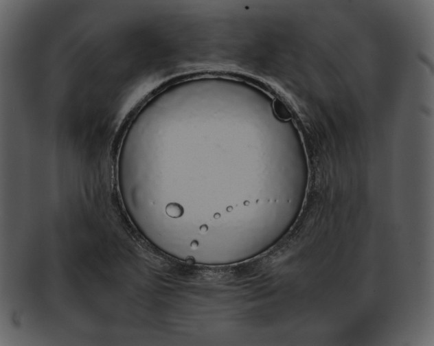 X0000093231271200710171411