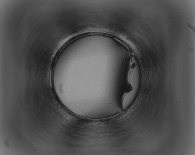 X0000093231272200710171411