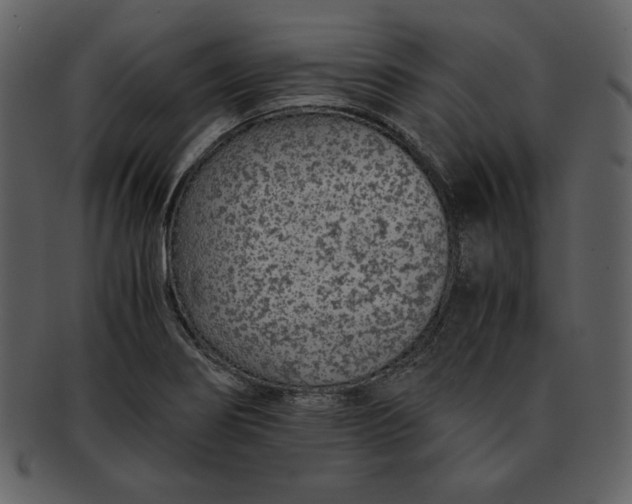 X0000093231274200710171411