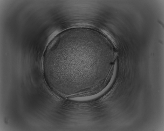 X0000093231275200710171411