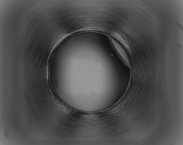 X0000093231276200710171411