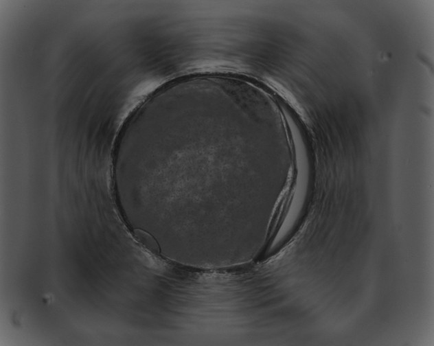 X0000093231277200710171411