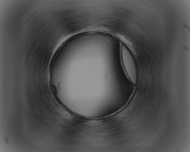 X0000093231280200710171411