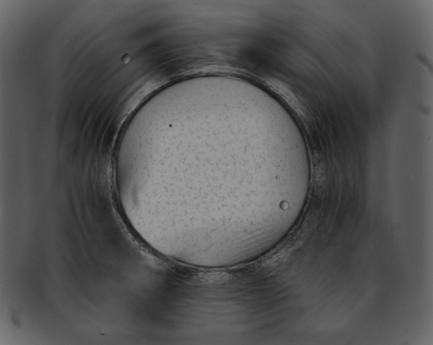 X0000093231282200710171411