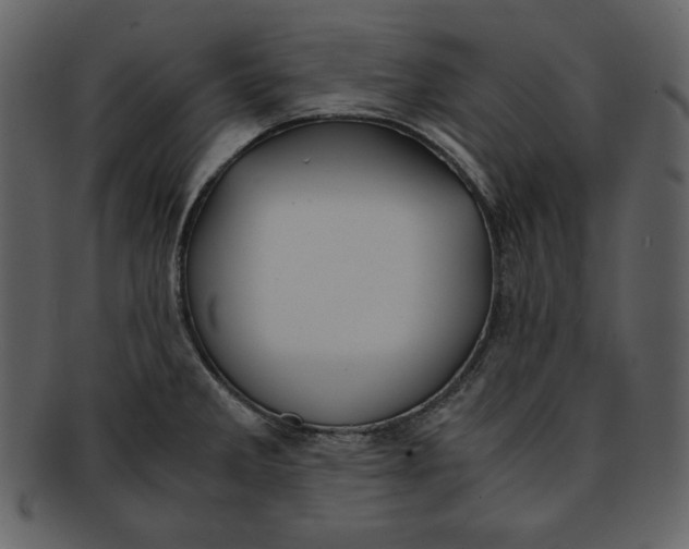 X0000093231285200710171410