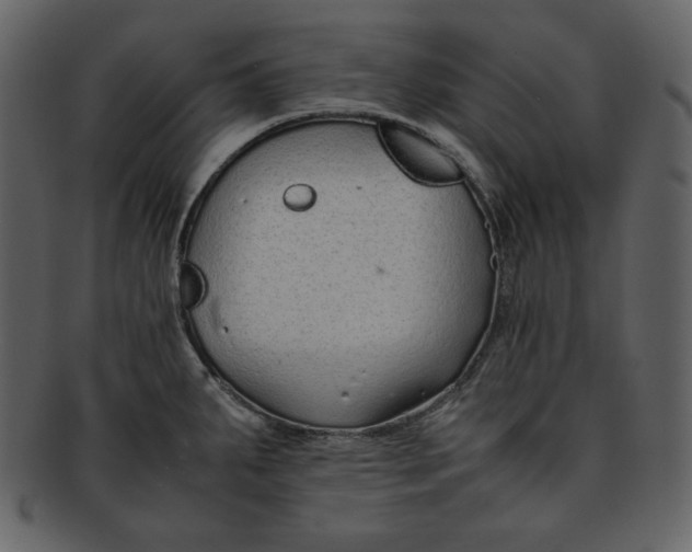 X0000093231287200710171410