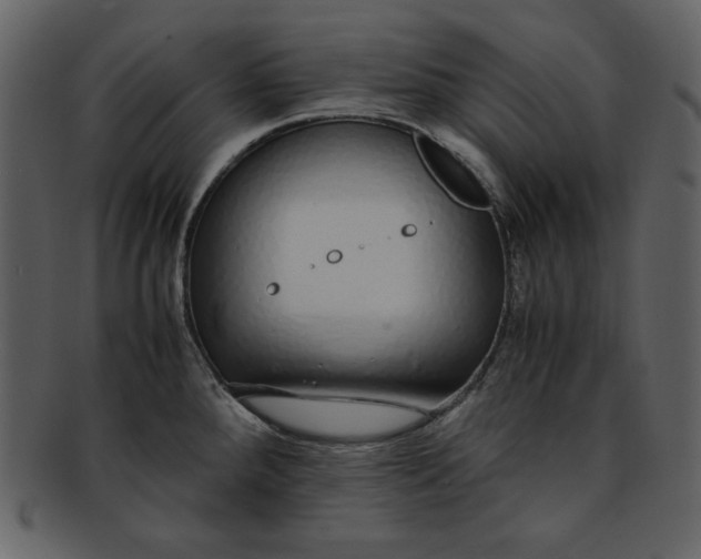 X0000093231288200710171410