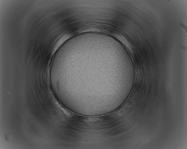 X0000093231290200710171410