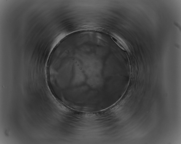 X0000093231291200710171410