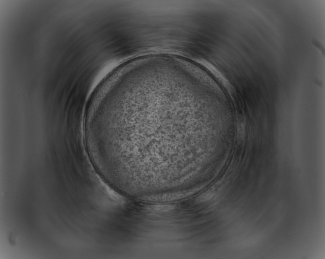 X0000093231294200710171410