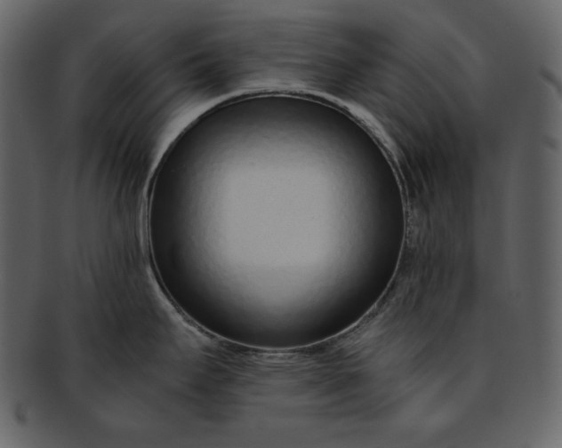 X0000093231295200710171410