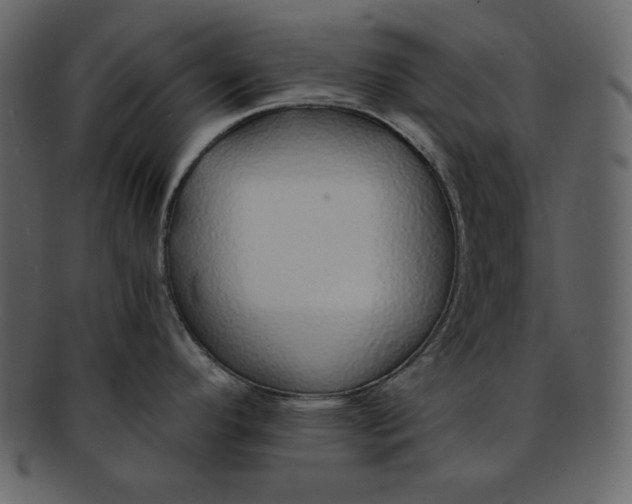 X0000093231296200710171410