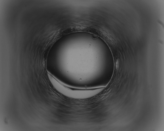 X0000093231299200710171410