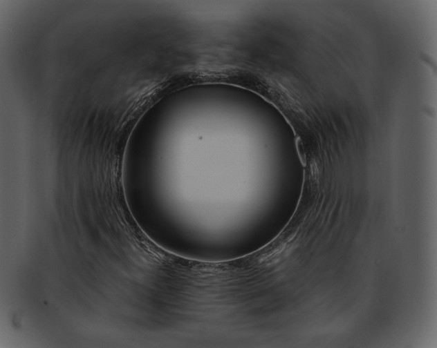 X0000093231300200710171410