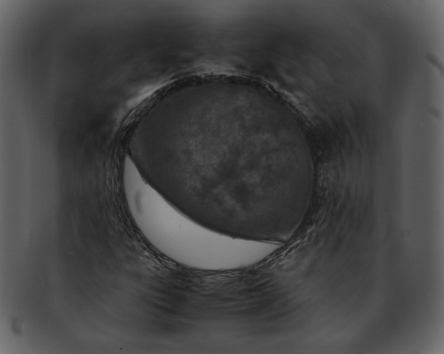 X0000093231303200710171410