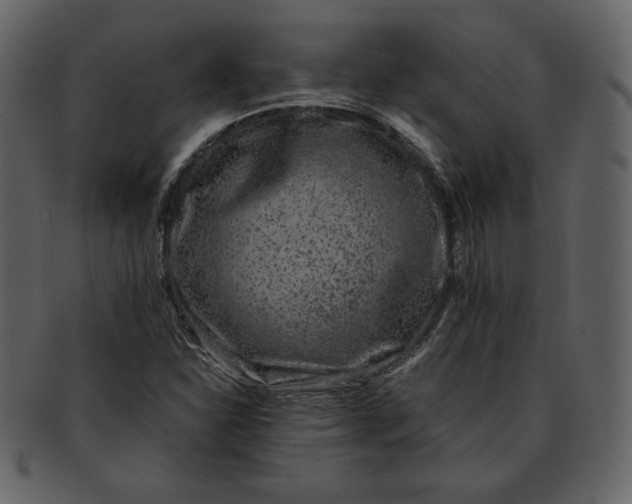 X0000093231310200710171410