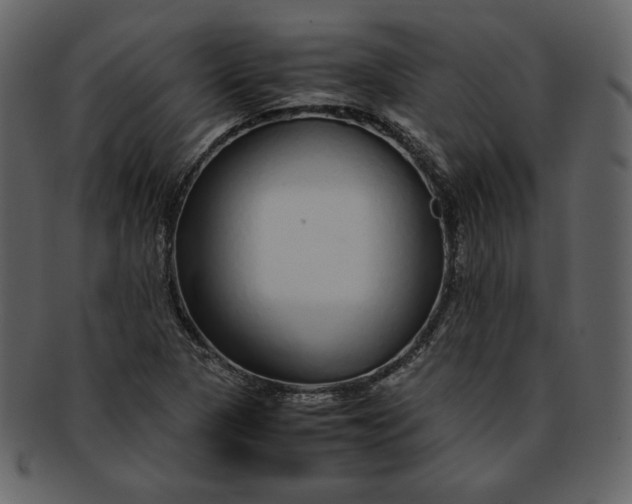 X0000093231313200710171410