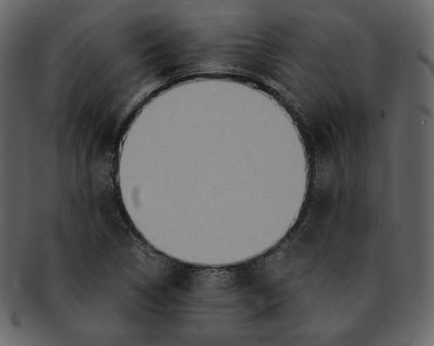 X0000093231314200710171410