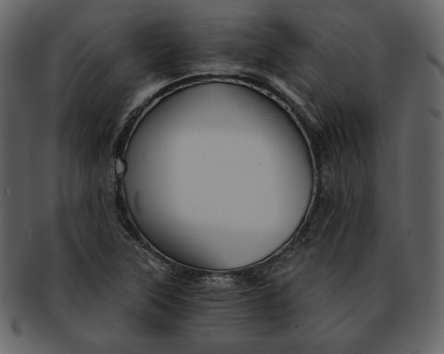 X0000093231315200710171410