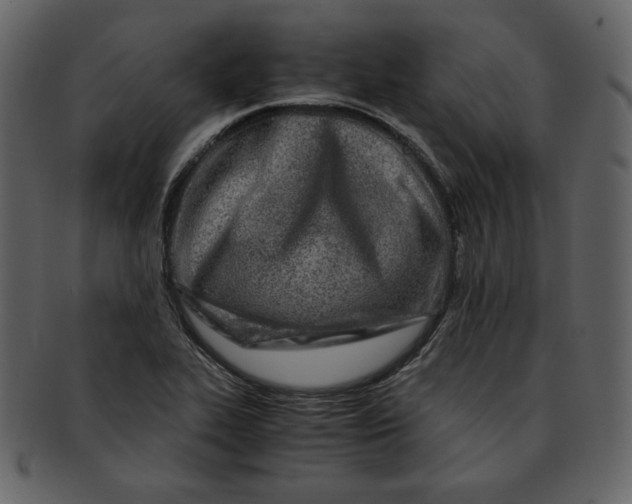 X0000093231319200710171410