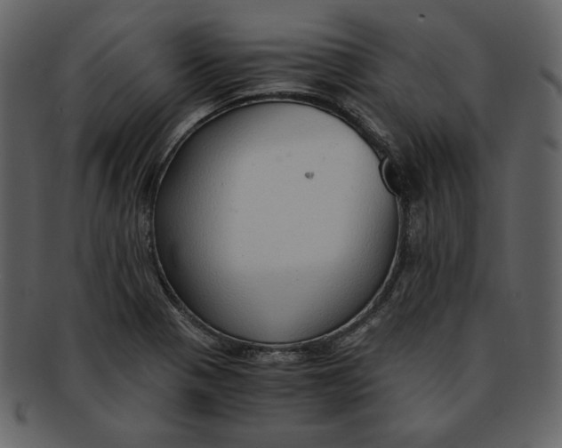 X0000093231321200710171410