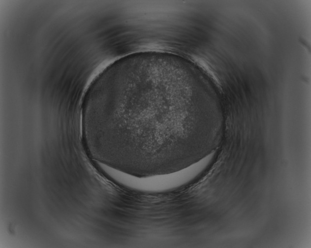 X0000093231323200710171410