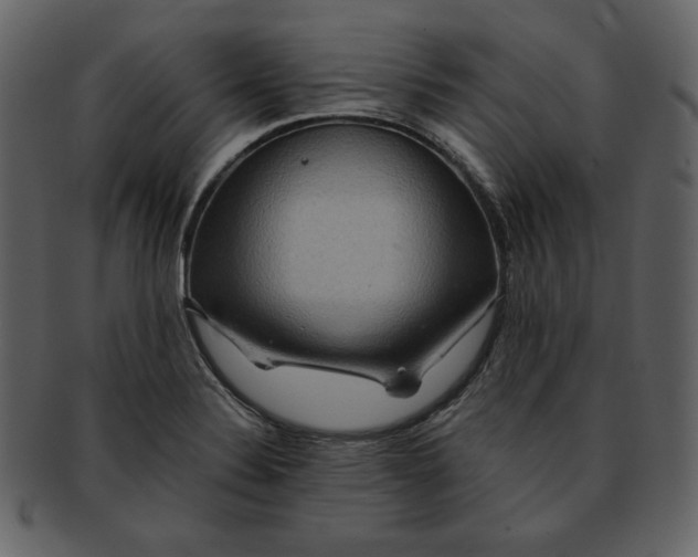 X0000093231324200710171410