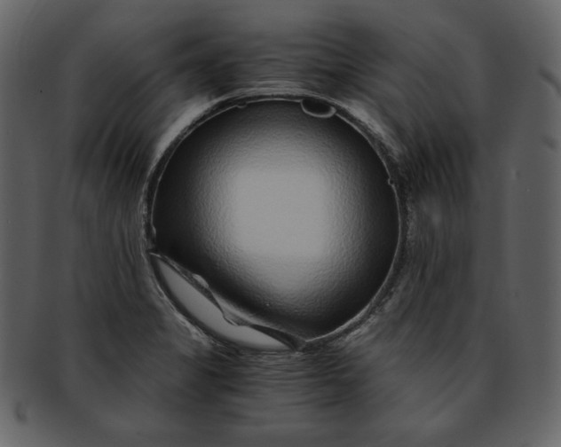 X0000093231325200710171410