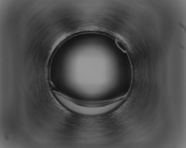 X0000093231326200710171410