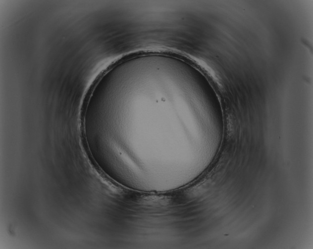 X0000093231327200710171410