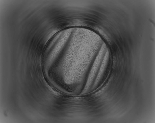 X0000093231329200710171410