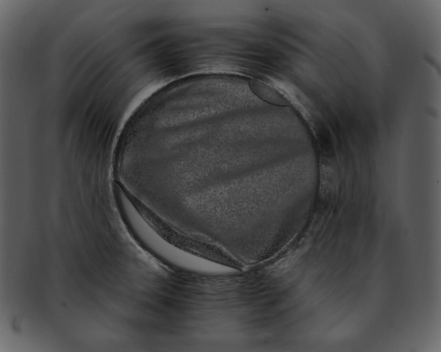 X0000093231331200710171410