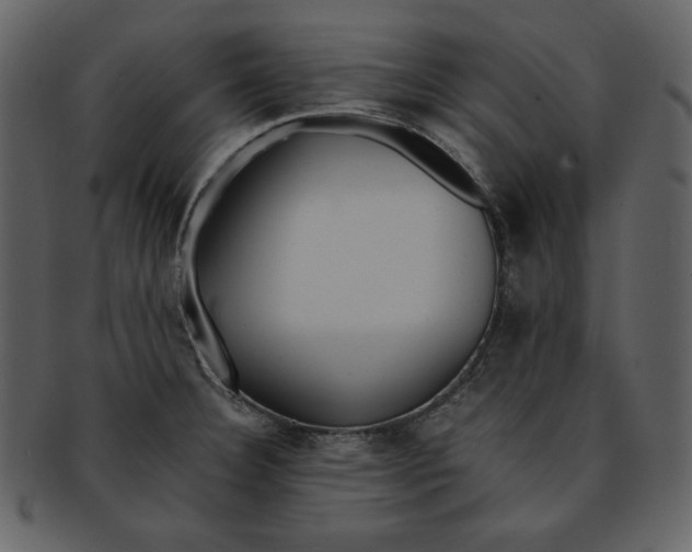 X0000093231332200710171410