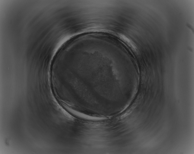 X0000093231334200710171410