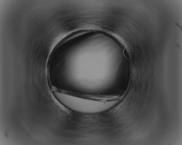 X0000093231335200710171410