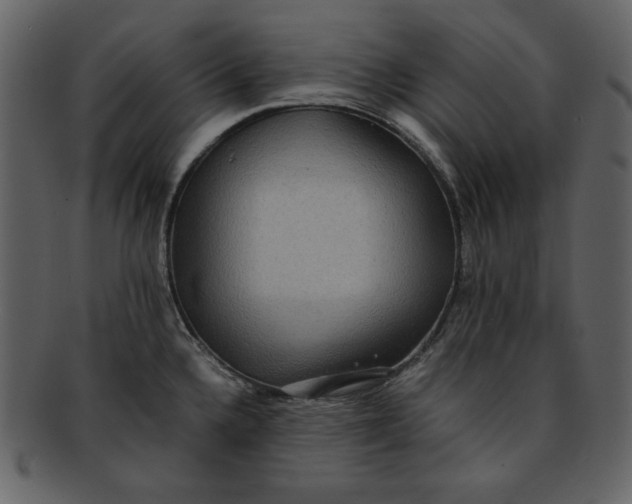 X0000093231336200710171410