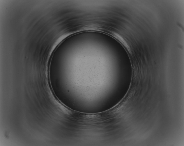 X0000093231339200710171410