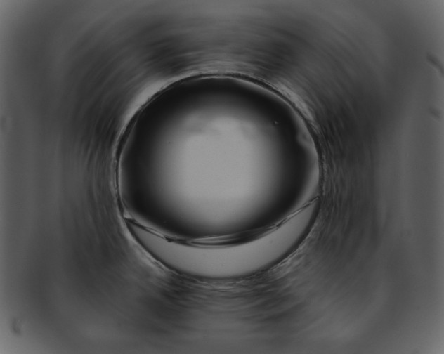 X0000093231342200710171410