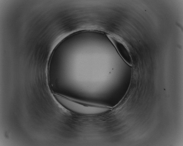 X0000093231343200710171410