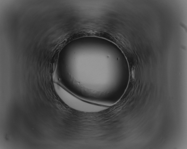 X0000093231347200710171409