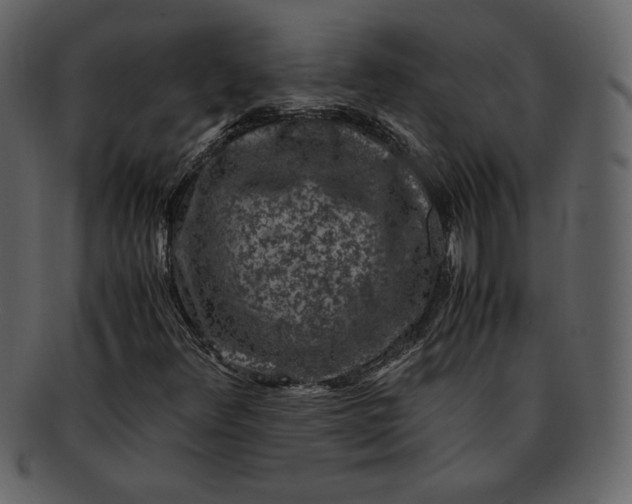 X0000093231348200710171409