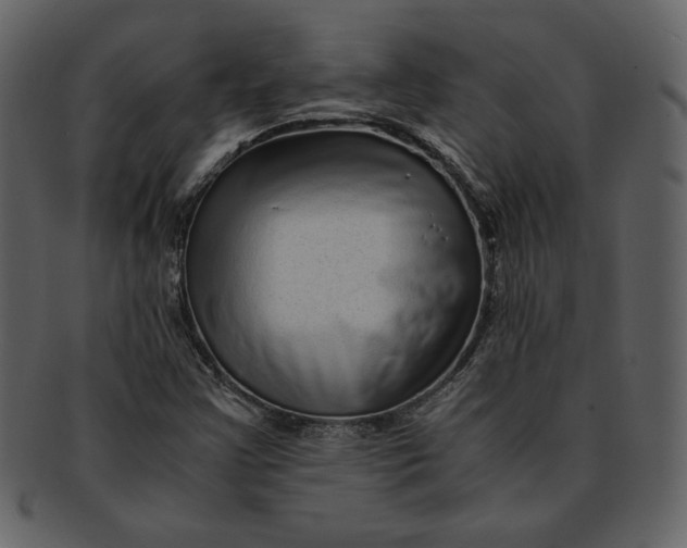 X0000093231355200710171409