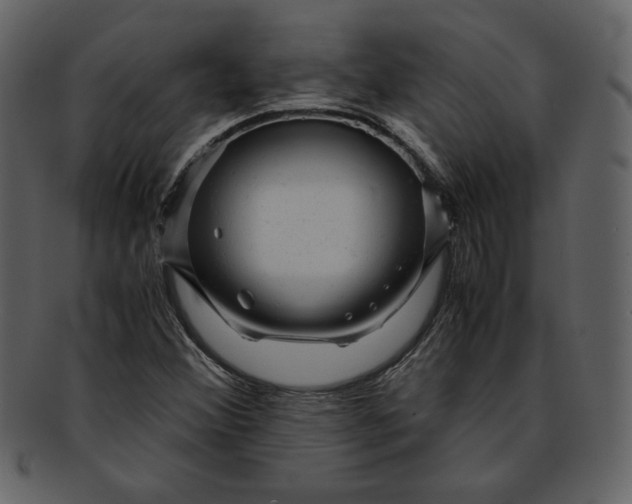 X0000093231356200710171409