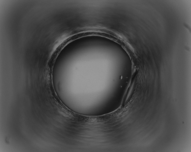 X0000093231360200710171409