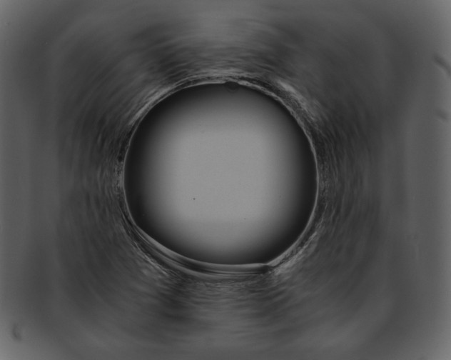 X0000093231361200710171409