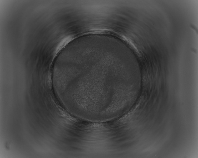 X0000093231362200710171409