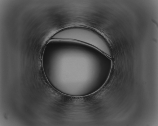 X0000093231363200710171409