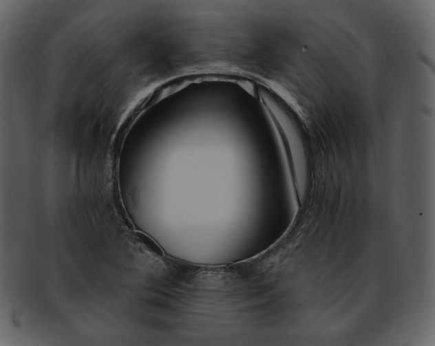 X0000093231364200710171409