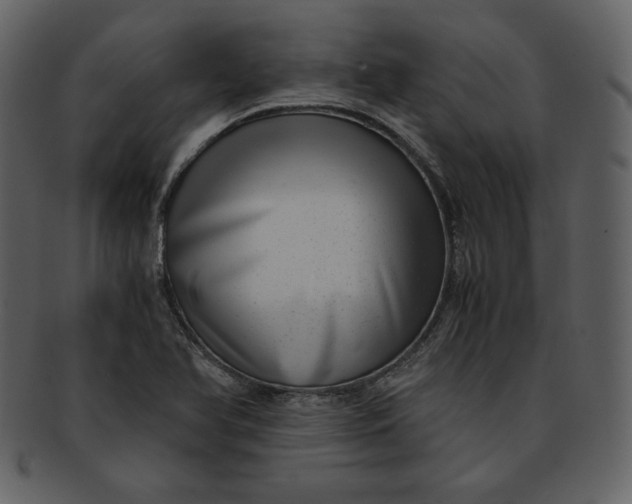 X0000093231366200710171409